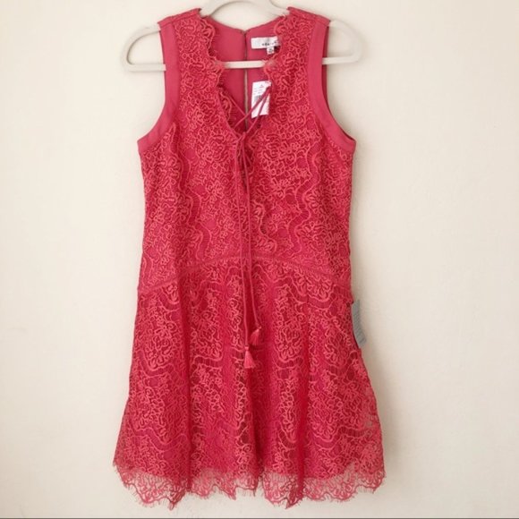 NWT Adelyn Rae Lace Shift Dress - Picture 1 of 7